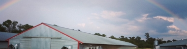 The Harrison Farm