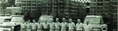 Sanderson Brothers Feed and Seed Store, 1951