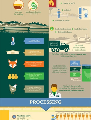 Sanderson Farms Homegrown Infographic
