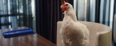 Sanderson Farms Restaurant TV